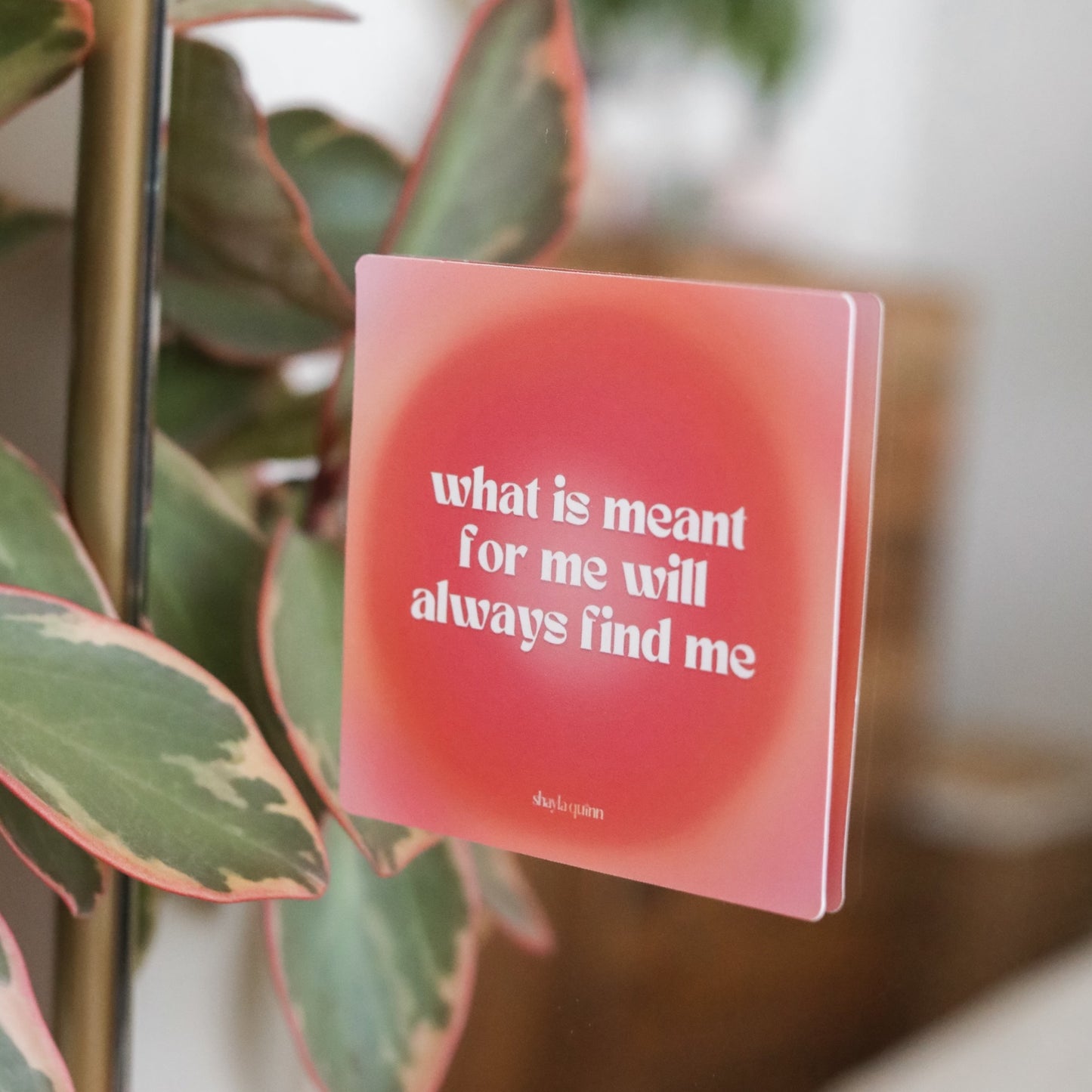 Activate Align Expand Waterproof Affirmation Deck